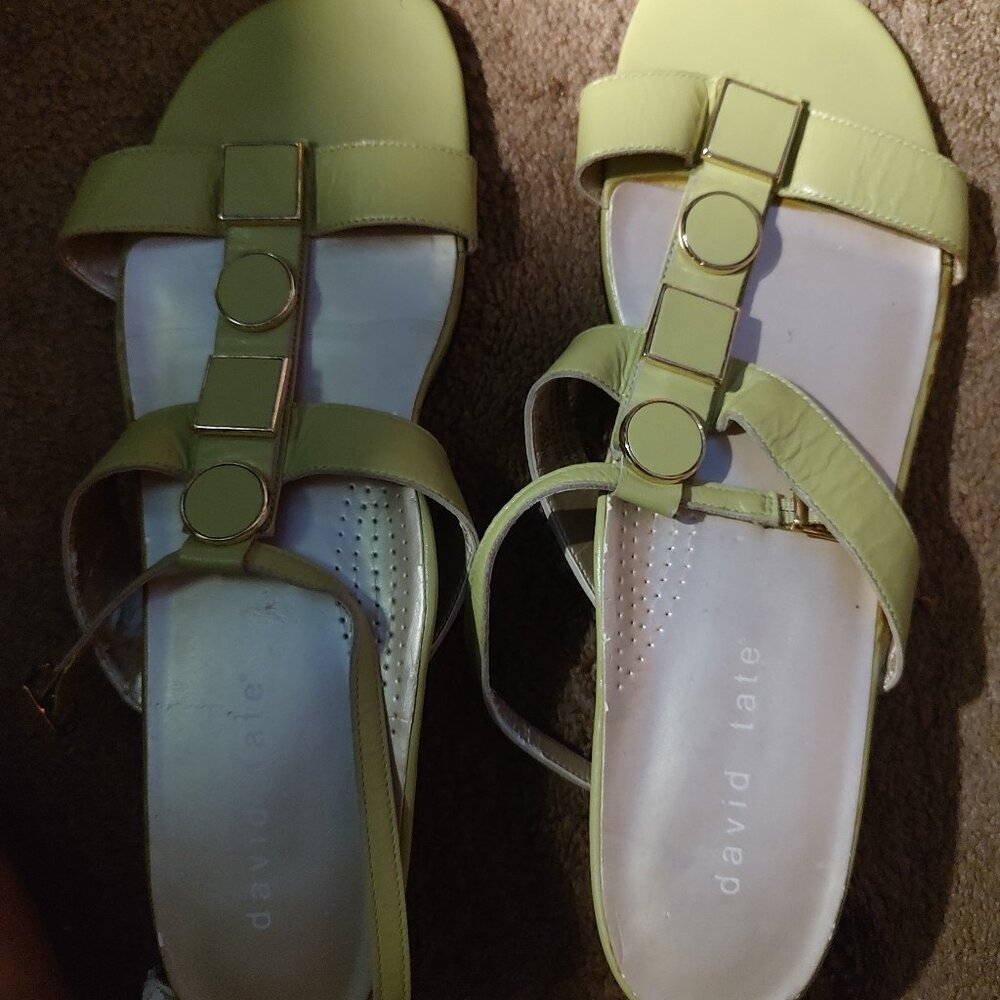 Women's Size 13M "David Tate" Green/Celery Ankle Strap Ktten Heel Sandal